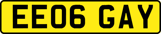 EE06GAY