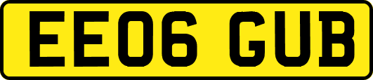 EE06GUB