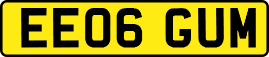 EE06GUM