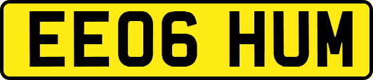 EE06HUM