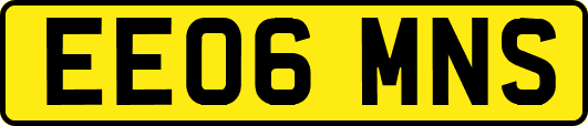 EE06MNS