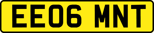 EE06MNT