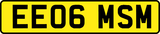 EE06MSM
