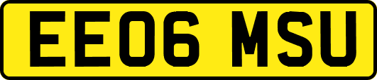 EE06MSU