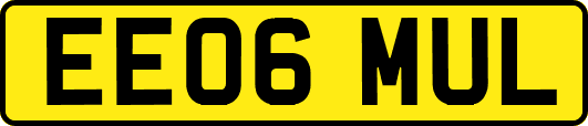 EE06MUL