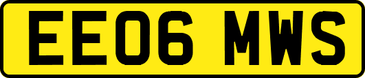 EE06MWS