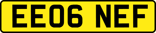 EE06NEF