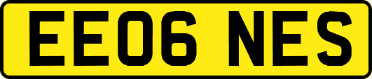 EE06NES