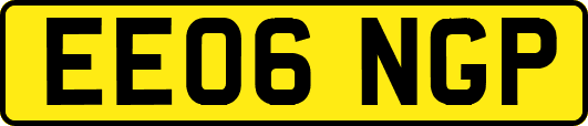 EE06NGP