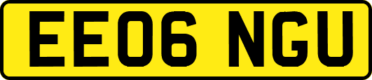 EE06NGU