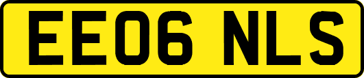 EE06NLS