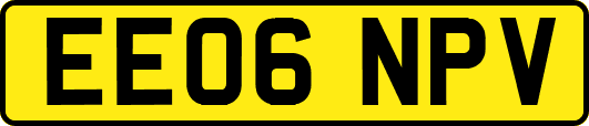 EE06NPV