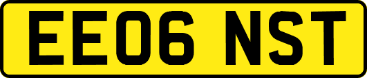 EE06NST