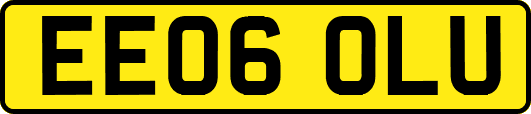 EE06OLU