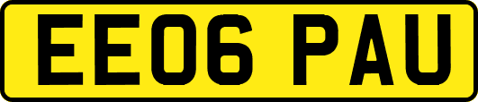 EE06PAU