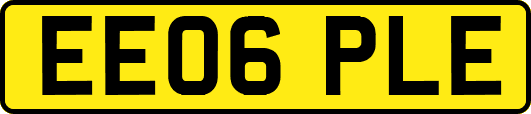 EE06PLE