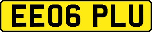 EE06PLU