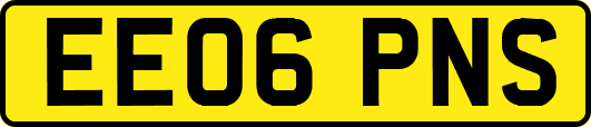 EE06PNS