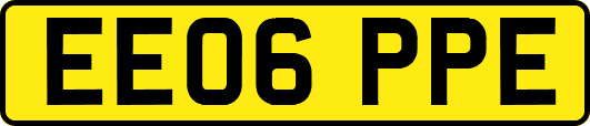 EE06PPE