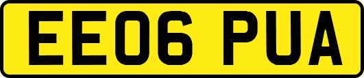 EE06PUA