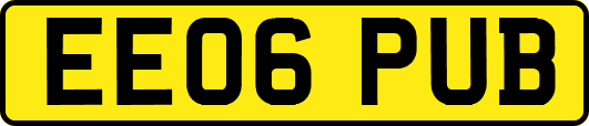 EE06PUB