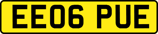 EE06PUE