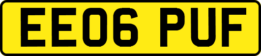 EE06PUF