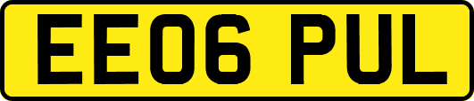 EE06PUL
