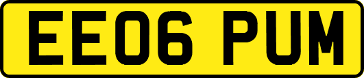 EE06PUM