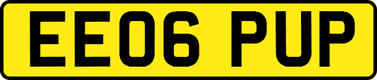 EE06PUP