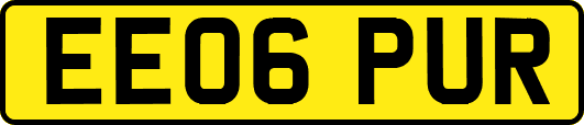 EE06PUR
