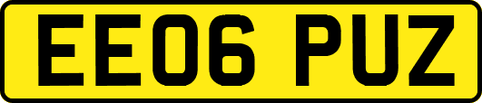 EE06PUZ