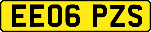 EE06PZS