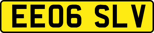 EE06SLV