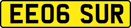 EE06SUR