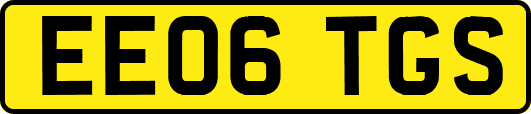 EE06TGS