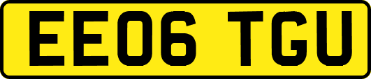 EE06TGU