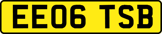 EE06TSB