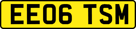 EE06TSM