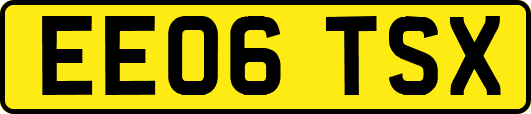 EE06TSX