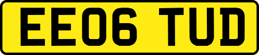 EE06TUD
