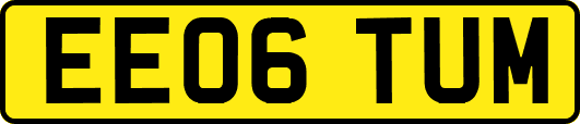 EE06TUM