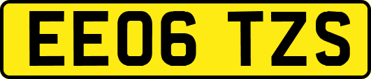 EE06TZS