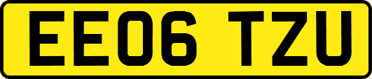 EE06TZU