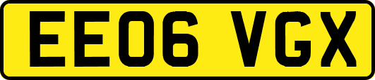 EE06VGX