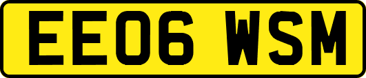 EE06WSM