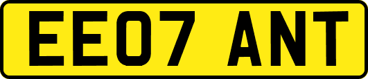 EE07ANT