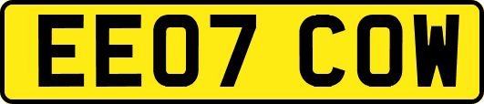 EE07COW