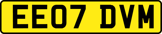 EE07DVM