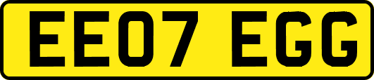 EE07EGG